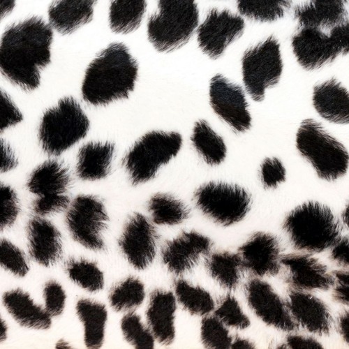 vibeswagger prod jane cocaine