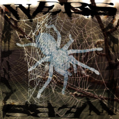 unexpected (dexxtern)