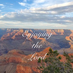 We have seen Christ is Reality (Hymn 1178)