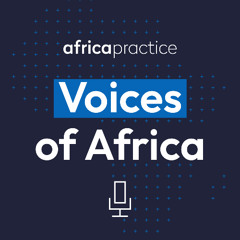 Harnessing the power of the African Diaspora