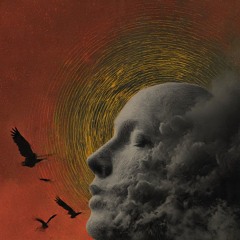 Snapshots in the Dark