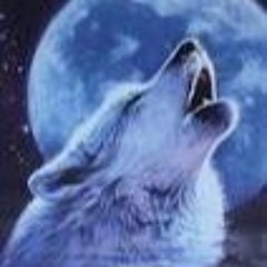 WOLF HOWLING(no master)