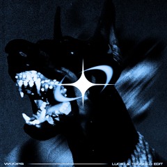 Woops (Luciid & Trugbild Edit) [FREE DOWNLOAD]