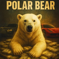 POLAR BEAR  Prod.Maly_