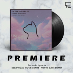 PREMIERE: Facundo Ignacio - Elliptical Movements (Forty Cats Remix) [PURRFECTION]