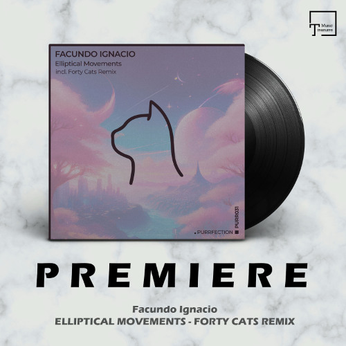 PREMIERE: Facundo Ignacio - Elliptical Movements (Forty Cats Remix) [PURRFECTION]