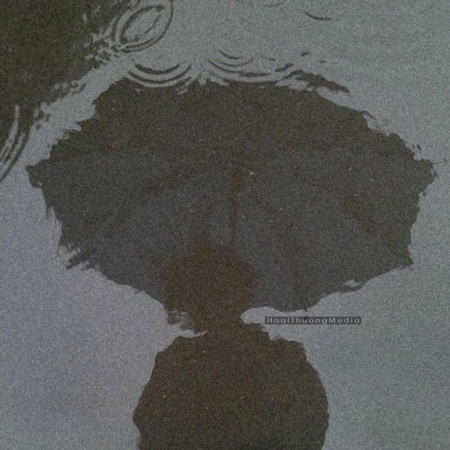 Xin Đừng Hỏi Tại Sao (Lofi)