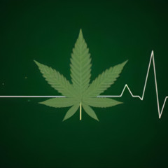 Kvng Foolish - Smokin Trees (UNRELEASED)