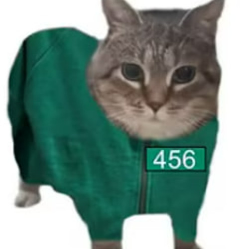 OIIA Cat X Mingle