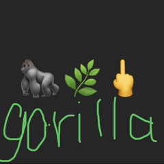 gorilla beat & support by H1GH BR1DG3