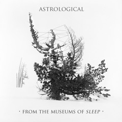 From The Museums Of Sleep [unreleased 2012]