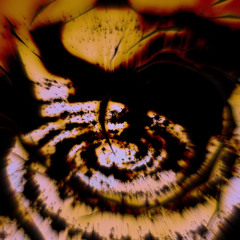 PREMIERE : Argo - Southern Chronicles [Bardouin Music]