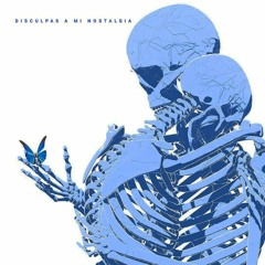 DISCULPAS A MI NOSTALGIA