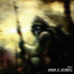 Shadow Of Chernobyl (Preview)