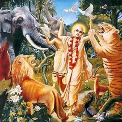 A Prayer to the Lotus Feet of Sri Gauranga