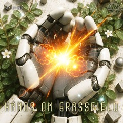 Brian Grassfield & Remixes - Hands on Grassfield LP