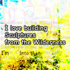 Sculptures for the Wilderness
