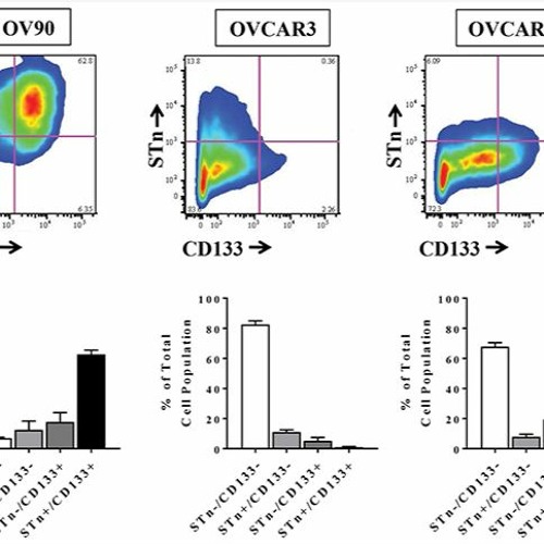 Oncotarget: Targeted Treatment for Recurrent Ovarian Cancer