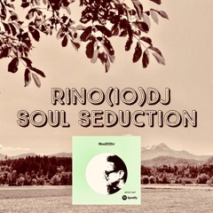 Rino(IO)DJ - Soul Seduction Live Mix