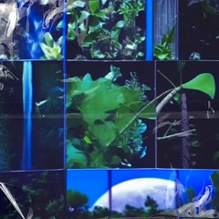 @triefs - Alive But Dead (all my fault)