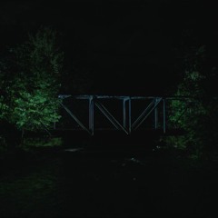 Do You Hear Them Too?