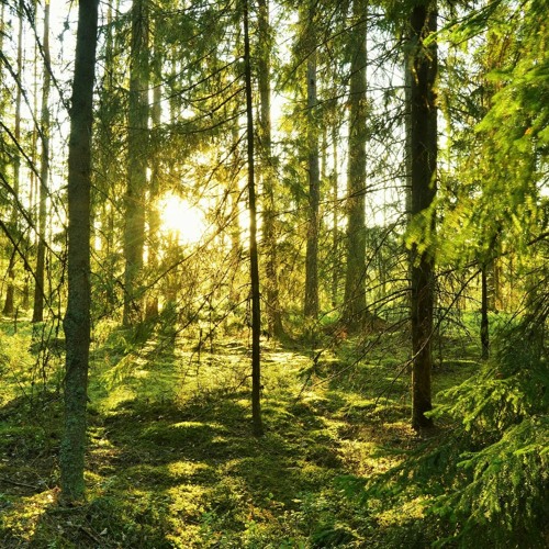 Calling upon the light within - Part 7