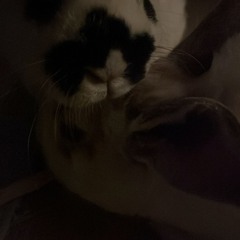 i cant be alone for this long