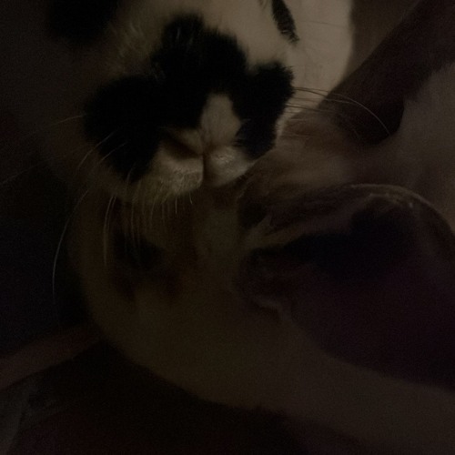 i cant be alone for this long