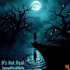 It's Not Real