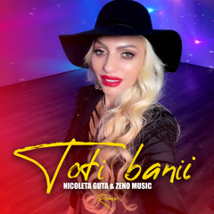 Toti banii (Remix)