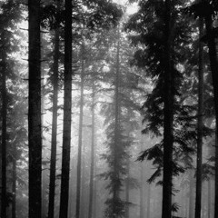 Gwann - shoulder season mix 001