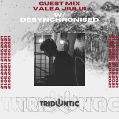 Desynchronised - GuestMix Valea Jiului