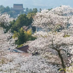 play your game (prod. jones)