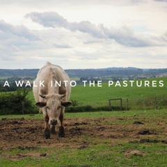 A Walk Into The Pastures