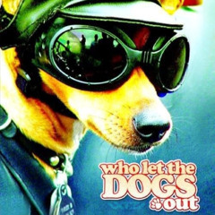 Who Let The Dogs Out Vs I Have No Memories About Last Night - XTZ Edit
