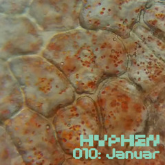 hyphen mix 010 - Januar