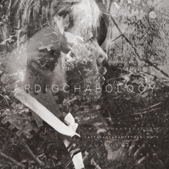 Ever Seen Before - Ost. Ardigchaeology