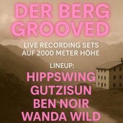 Der Berg Grooved - HippSwing live Set 29.5.25