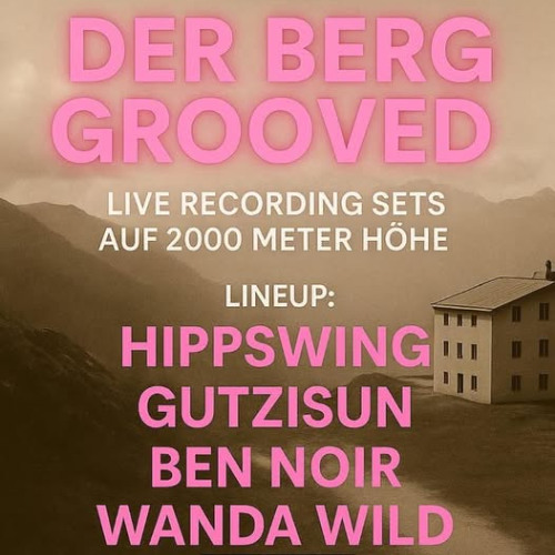 Der Berg Grooved - HippSwing live Set 29.5.25