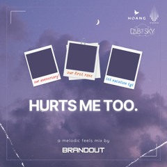 "Hurts Me Too" ❤️‍🩹 | EDM Feels Mix (ft. Hoang, Dab the Sky, MAX, Clinton Kane)