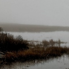 gymnopedie