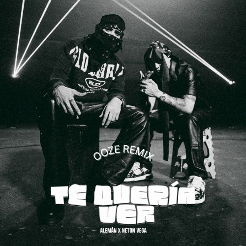 TE QUIERO VER - ALEMAN NETON VEGA (OOZE REMIX)