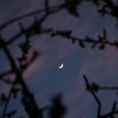 moonlightgroove.wav