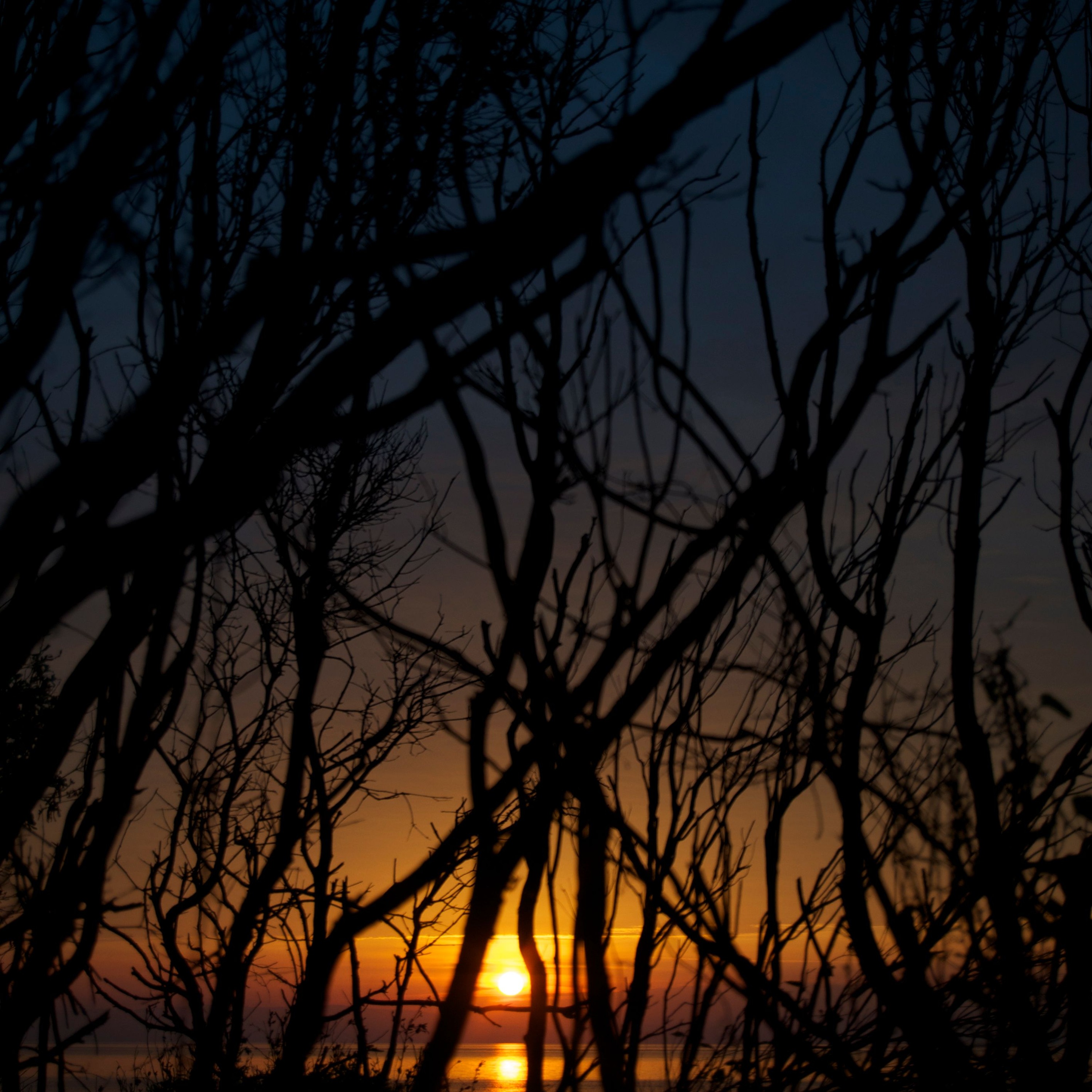 MEMORY GARDEN 2003 - Skender Makota