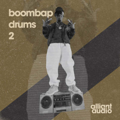 Boom Bap Drums Vol.2 - Pack Demo