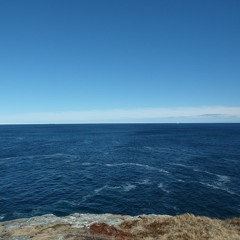 Harmonic Harmony May 20th 2020