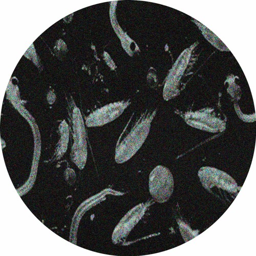 Non-specific Defence System - Air (Original Mix) [Biochemicall]