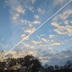 Beautiful means many things