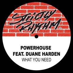 What You Need (feat. Duane Harden) (Full Intention Radio Edit)
