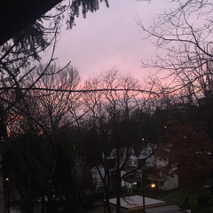 i meant every word i said